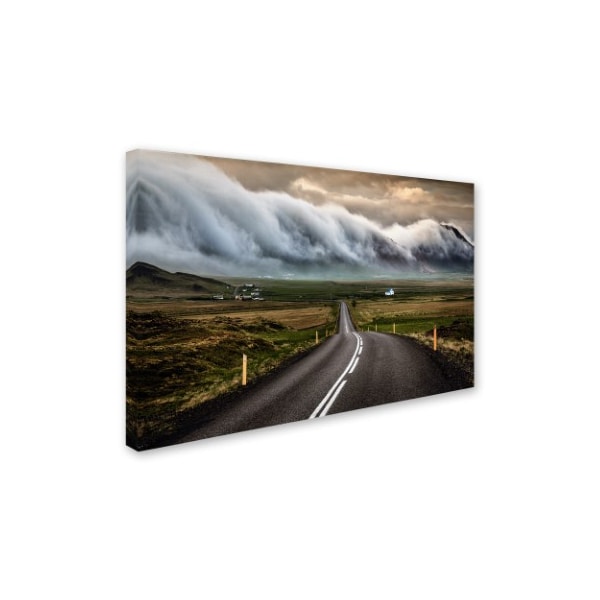 Sus Bogaerts 'Road' Canvas Art,30x47